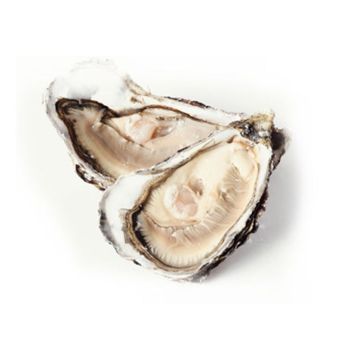 FRENCH OYSTERS, XL, FROZEN