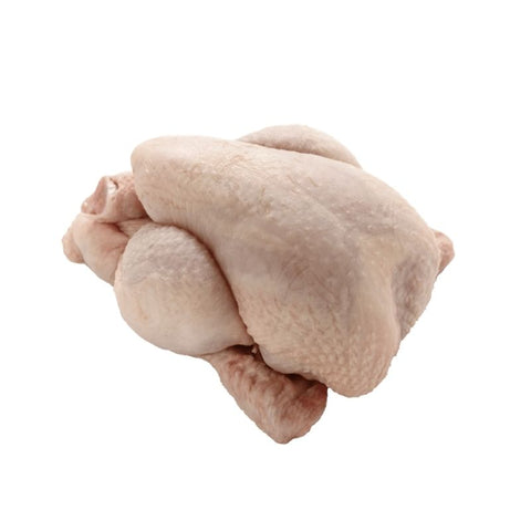 CORNISH HEN,  WHOLE,  16OZ,
