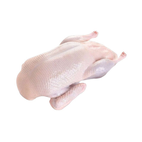 DUCK,  WHOLE,  USDA GRADE A
,