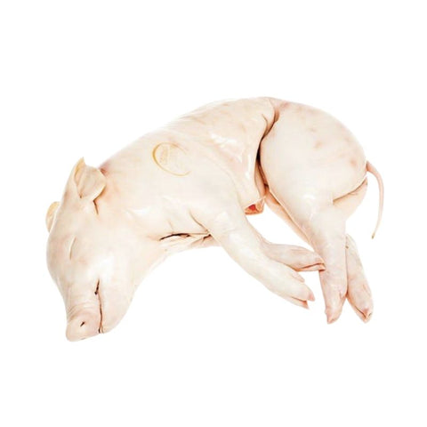 PORK,  SUCKLING PIG,  LARGE,