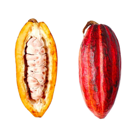 RAW CACAO PODS,