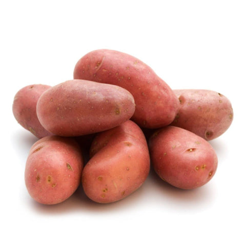 POTATO, LARGE RED,