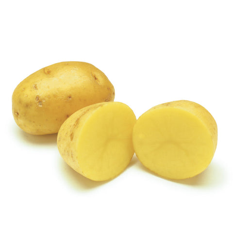 POTATO, YUKON GOLD,