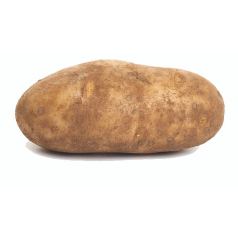 POTATO, LARGE,