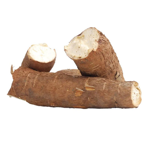 YUCCA/CASSAVA,