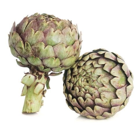 ARTICHOKE,