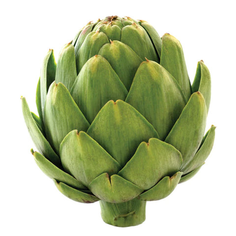 ARTICHOKE, BABY,