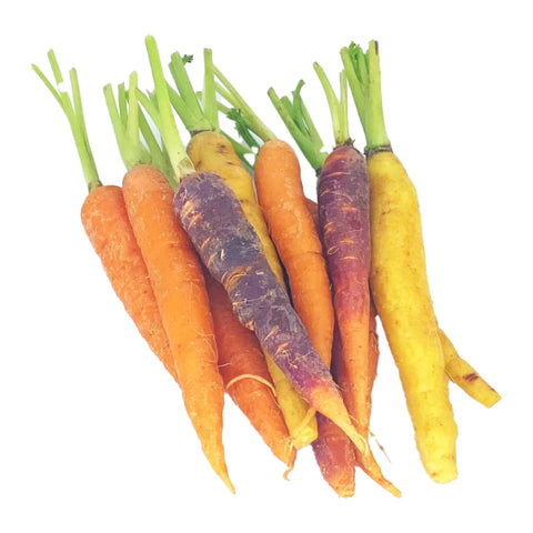 CARROTS, RAINBOW,MIX,