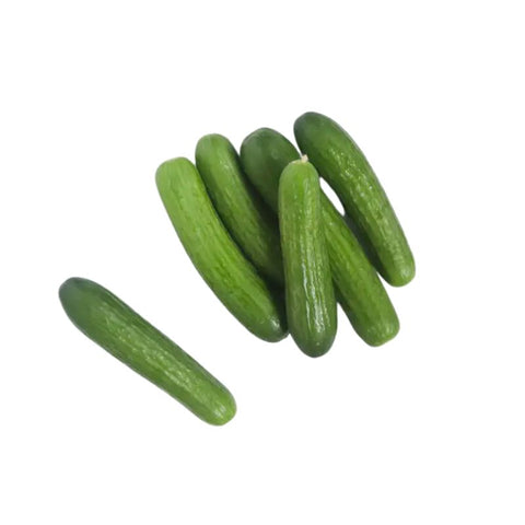 CUCUMBER, PERSIAN,