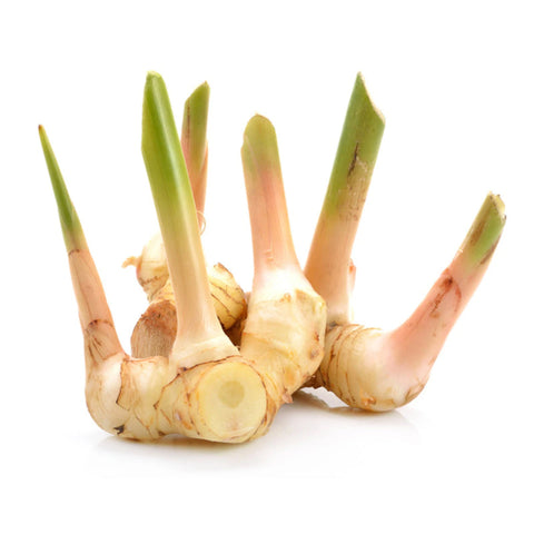 GALANGAL