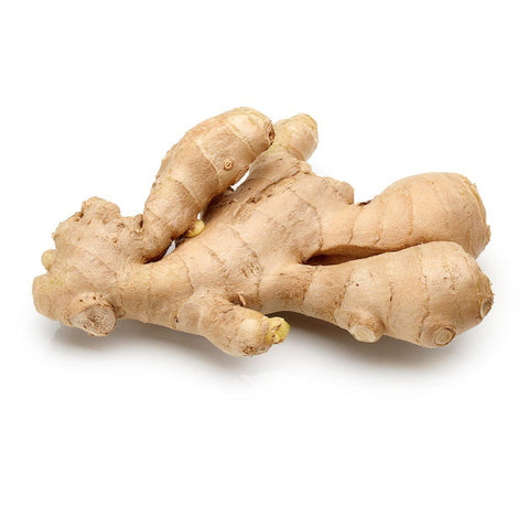 GINGER ROOT,