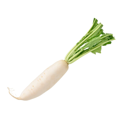 RADISH, DAIKON,