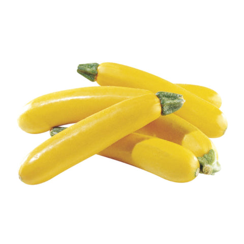 ZUCCHINI, YELLOW,