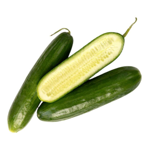 CUCUMBER, TELEGRAPH