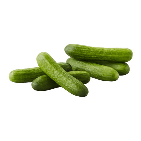 CUCUMBER ENGLISH BURPLESS,