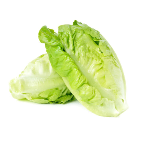 LETTUCE, ROMAINE, BABY GREEN,