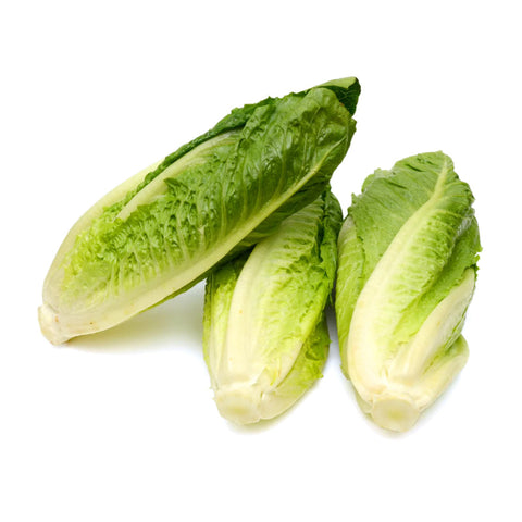 LETTUCE, ROMAINE, HEARTS,