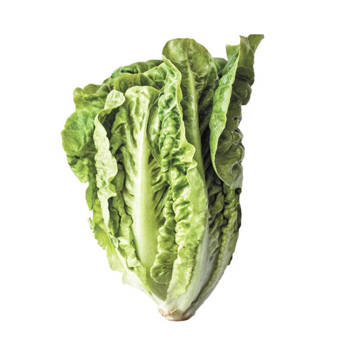 LETTUCE, ROMAINE, WHOLE HEADS