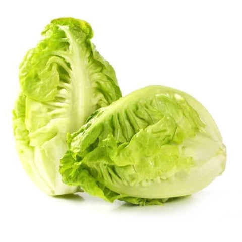 LETTUCE, SWEET GEM