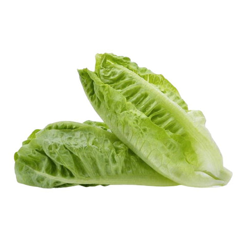 LETTUCE, COS