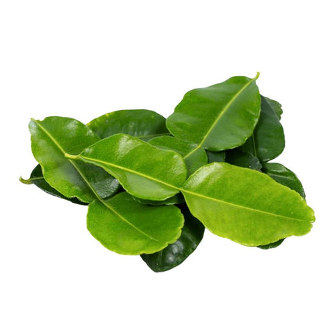 KEFFIR LIME LEAVES,