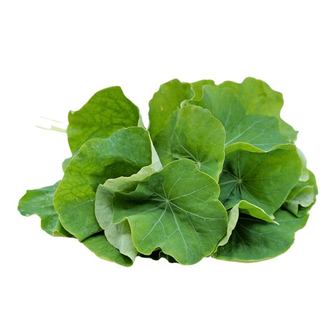 MIXED NASTURTIUM LEAVES