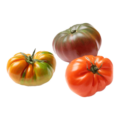 TOMATO, HEIRLOOM