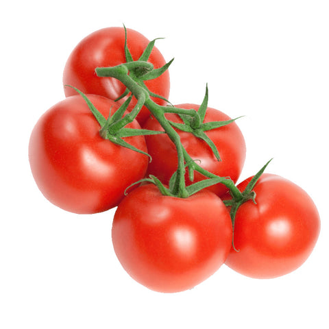 TOMATO, UNVINE RIPE,