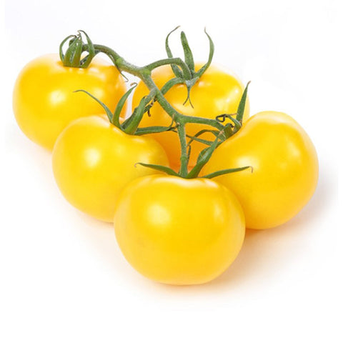 TOMATO, CHERRY YELLOW