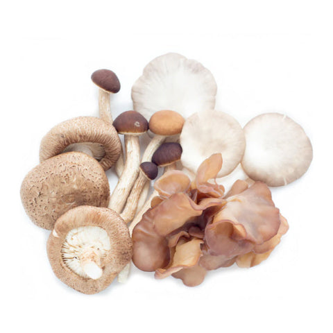 MUSHROOM, EXOTIC MIX, 400G,