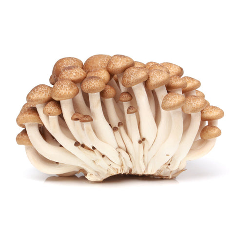 MUSHROOM, HONSHIMEJI, 150G,