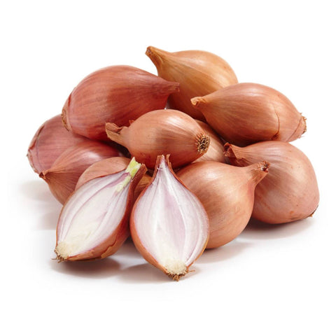 ONION, SHALLOT,