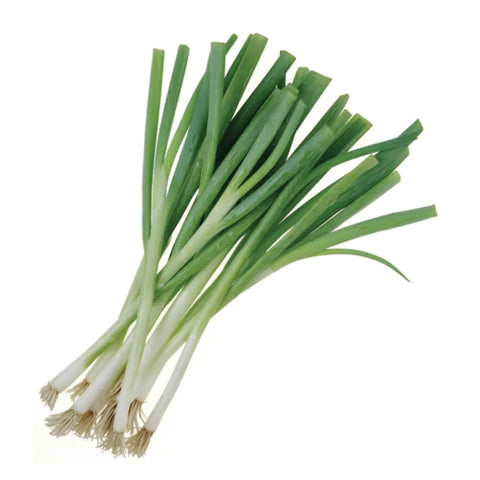 LOCAL ONION, SPRING/GREEN