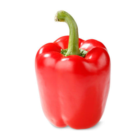 BELL PEPPER, RED,LOCAL,