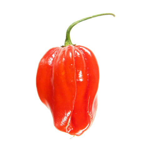 CHILI PEPPER, HABANERO, LOCAL