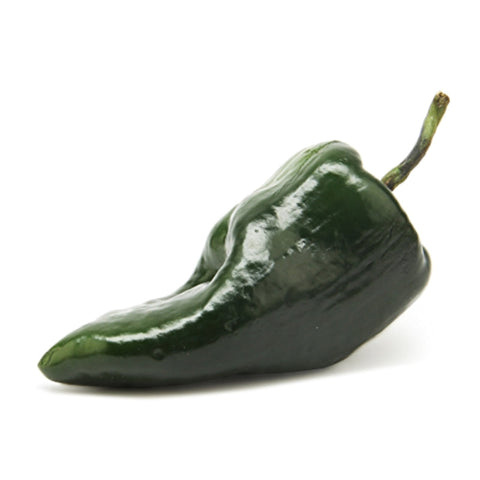 CHILI PEPPER, POBLANO,