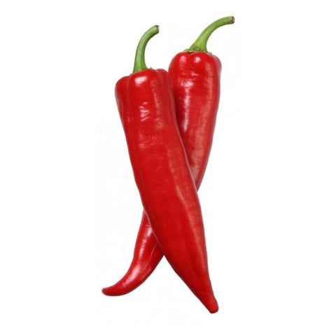 CHILI PEPPER, THAI RED,