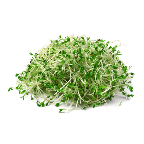 SPROUTS, ALFALFA,