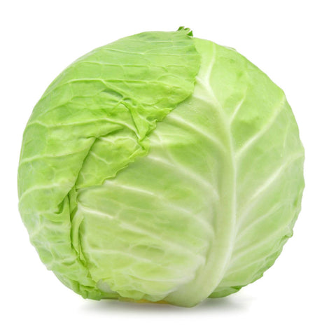 CABBAGE, GREEN,