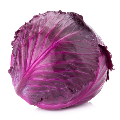 CABBAGE, RED,