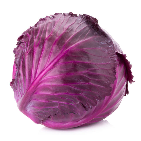 CABBAGE, RED