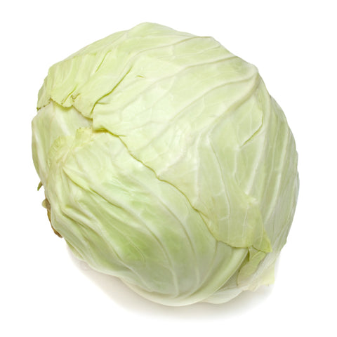 CABBAGE, WHITE,