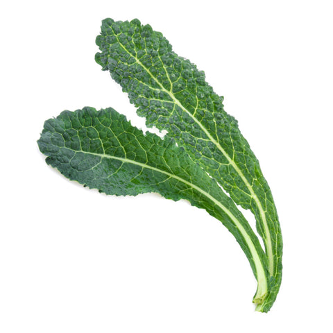 LACINATO, KALE,