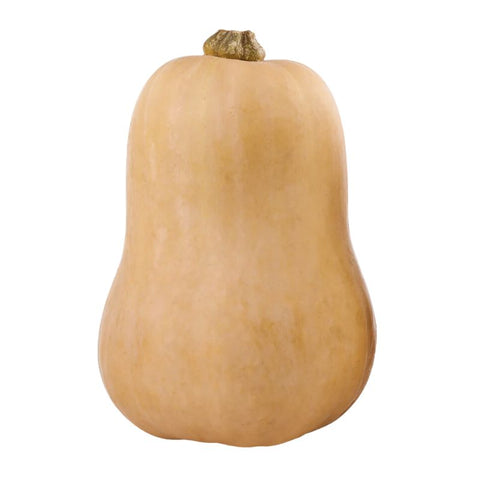 SQUASH,BUTTERNUT PUMPKIN,