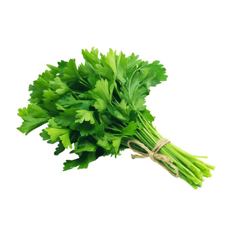 HERB,CILANTRO/CULANTRO,LOCAL250G,