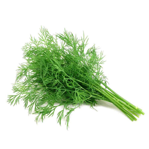 HERB, DILL,250G,