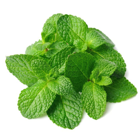 HERB,HIERBABUENA/SPEARMINT, 250G,