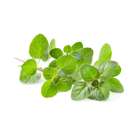 HERB, OREGANO, 250G,