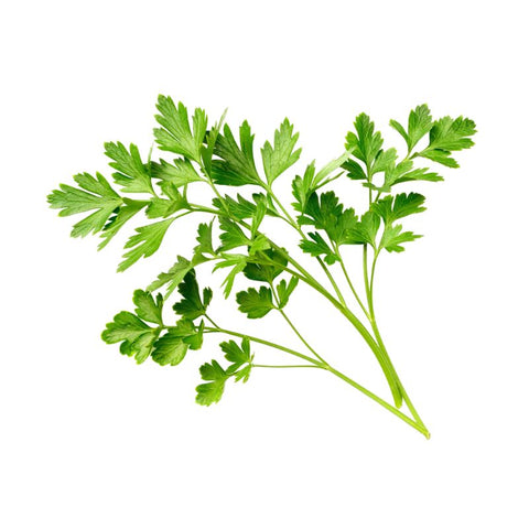 HERB,PARSLEY,ITALIAN,  250G,