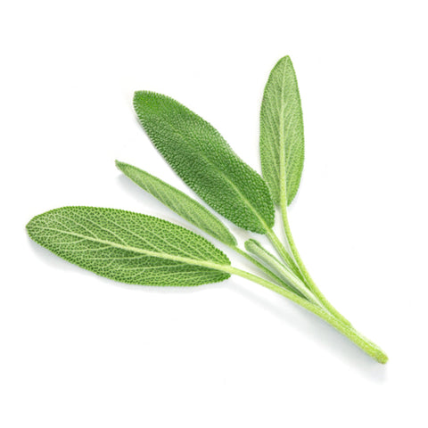 HERB, SAGE, 250G,